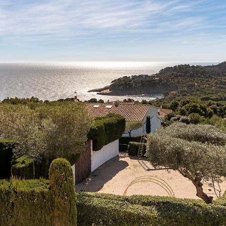Alta House Apartments Sa Blava Begur Esterno foto
